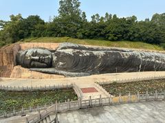 -三水森林公园