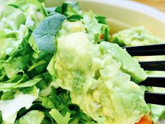 -油梨树AVOCADO TREE(望京店)