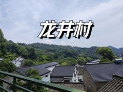 -龙井村