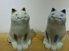 -猫里有甜