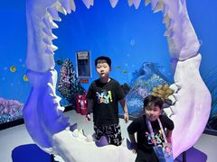 -泉城欧乐堡海洋极地世界