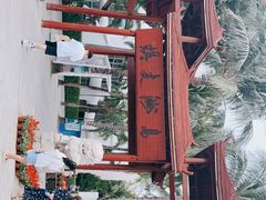 -三亚蜈支洲岛旅游区
