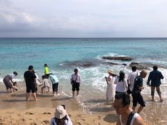-白沙湾海滩