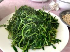 炒枸地芽-周鱼鳅饭店