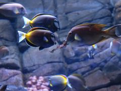 -成都浩海立方海洋公园