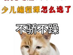 -森孚机器人编程·STEM积木·等级考试(虹口足球场中心)