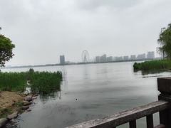 -长广溪湿地公园