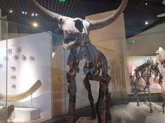 -国家自然博物馆