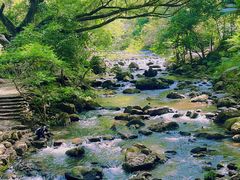 -广州市石门国家森林公园