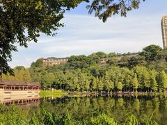 -重庆彩云湖湿地公园