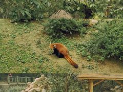 -西安秦岭野生动物园