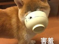 -怪兽炸鸡.轻沙拉(锦州店)