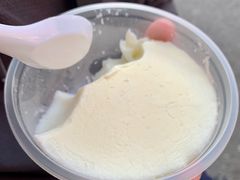 冻双皮奶-百花传统甜品店(原址店)