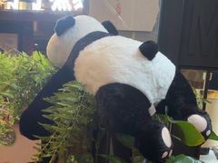 -茶去咖啡屋(武侯祠店)