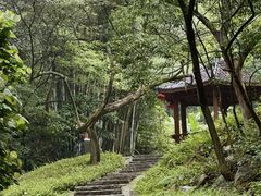-黄埔油麻山森林公园