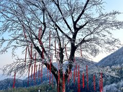 -天姥山