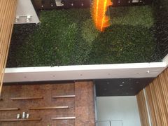 -优逸酒店(柳州窑埠古镇万象城店)