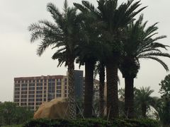 -宝安西湾红树林湿地公园