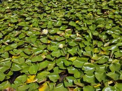 -白鹭湾湿地公园