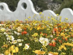 -名花谷生态庄园