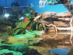 -沙沙哗啦海洋馆(华宇百花谷店)