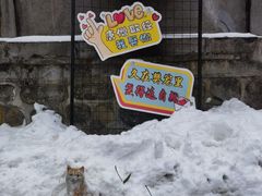 -终南山南五台景区