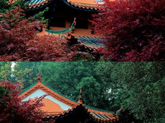 -岳麓山风景名胜区
