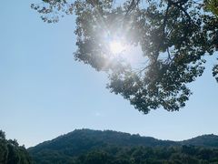 -白马涧龙池景区