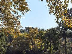 -天鹅湖体育公园