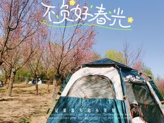 -北龙湖湿地公园