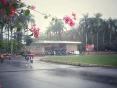 -华南国家植物园-售票处