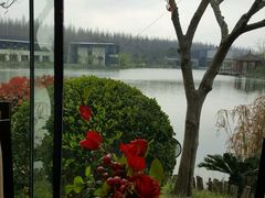 -上海怡沁园度假酒店