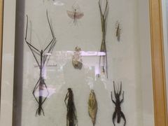 -陕西自然博物馆