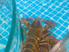 -梦都海鲜酒家(万达广场江桥店)