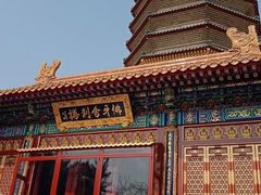 -北京西山国家森林公园