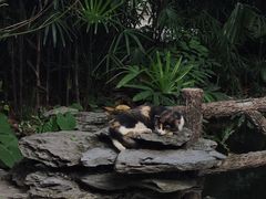 -广州兰圃