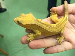 -藦茜花园宠物主题亲子互动体验馆(国顺东路店)