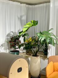 -橙沐普拉提瑜伽