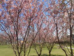 -福建鲤鱼洲酒店