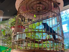 -锦上中式酒馆(南内环店)