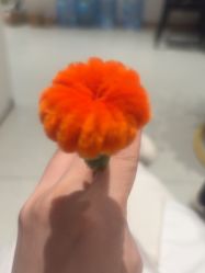 -Dr.林醫生产后修复·配方产康店(南京大厂店)