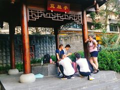 -泡桐树街