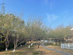 -广东大峡谷