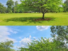 -中国科学院华南植物园