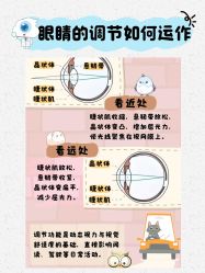 -上海浦滨儿童医院