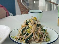 -云中小雅