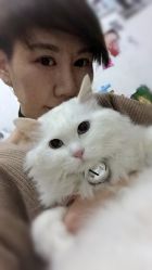 -COSMO PRO造型