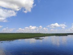-黑龙江扎龙生态旅游区
