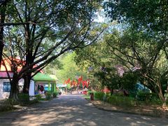 -三水森林公园