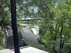 -巴倒烫陆派火锅山庄(南山总店)
